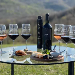 https://villa-la-palazzetta-castiglione-dorcia.it-tuscanyhotel.com